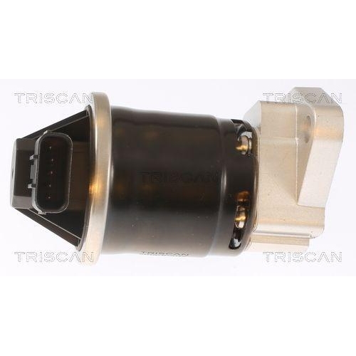 TRISCAN AGR-Ventil 8813 40003