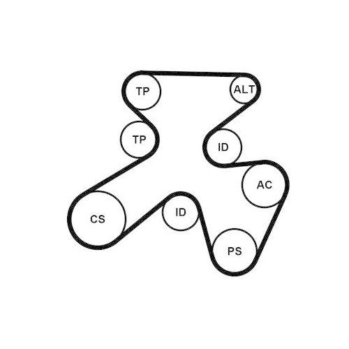 CONTINENTAL CTAM Keilrippenriemensatz 7PK1855K1