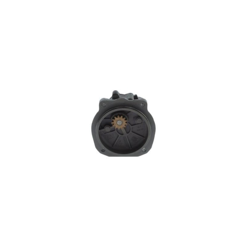 BOSCH Kraftstoffpumpe 0 440 020 114