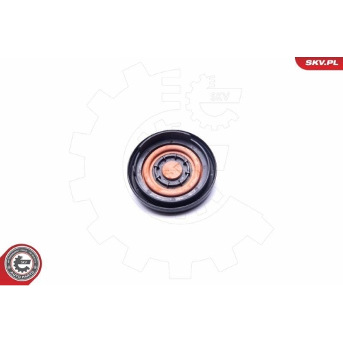 ESEN SKV Membran, Kurbelgehäuseentlüftung