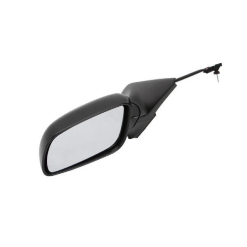 BLIC Außenspiegel 5402-04-1111127P