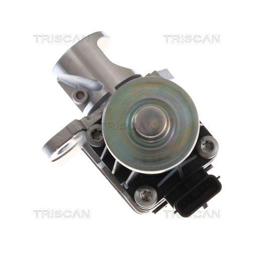 TRISCAN AGR-Ventil 8813 10060