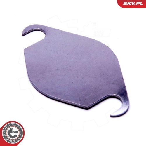 ESEN SKV Reparatursatz, AGR-Ventil 14SKV583