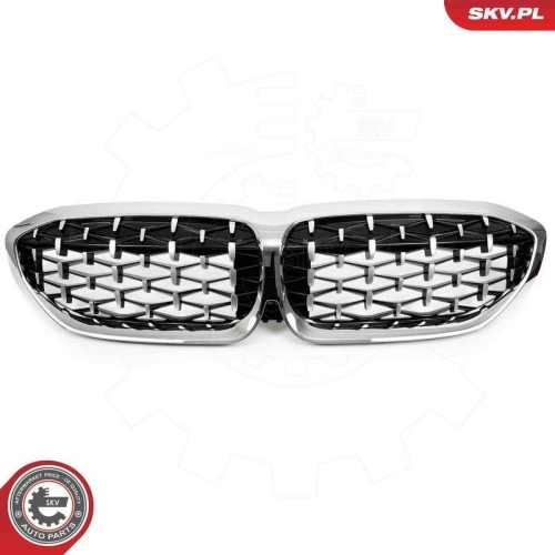 ESEN SKV Kühlergitter