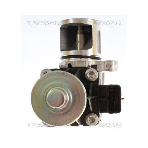 TRISCAN AGR-Ventil 8813 16074