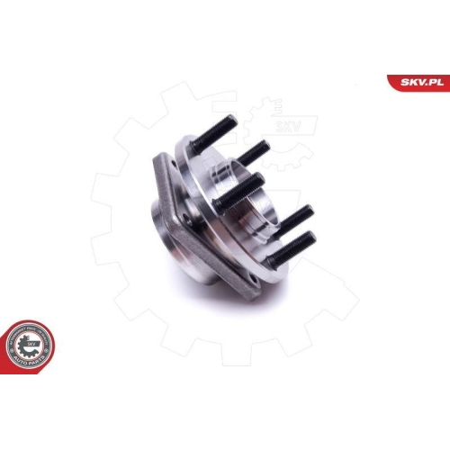 ESEN SKV Radlagersatz