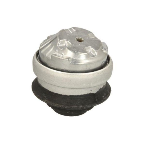 REINHOCH Lagerung, Motor RH11-3082