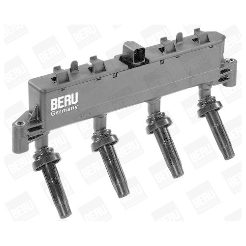 BorgWarner (BERU) Z&uuml;ndspule ZSE048