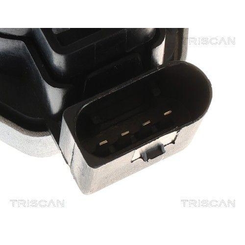 TRISCAN AGR-Ventil 8813 23045