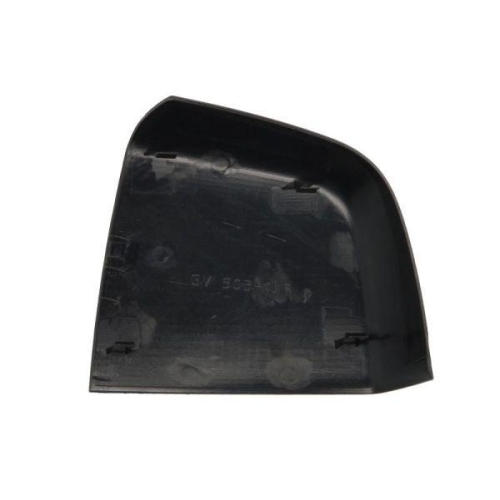 BLIC Gehäuse, Außenspiegel 6103-07-2001164P