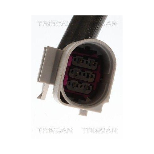 TRISCAN AGR-Ventil 8813 29118