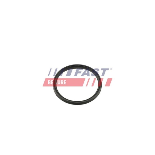 FAST Dichtring, Ladeluftschlauch FT49857