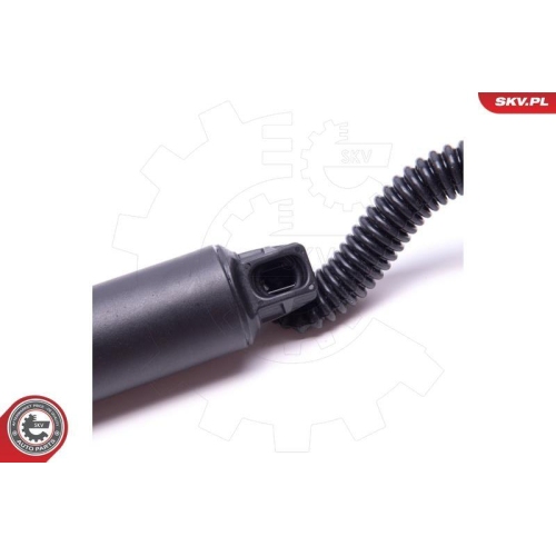 ESEN SKV Elektromotor, Heckklappe