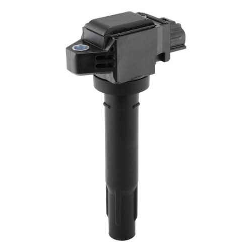 BorgWarner (BERU) Z&uuml;ndspule