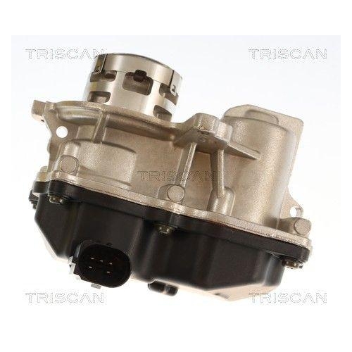 TRISCAN AGR-Ventil 8813 29119