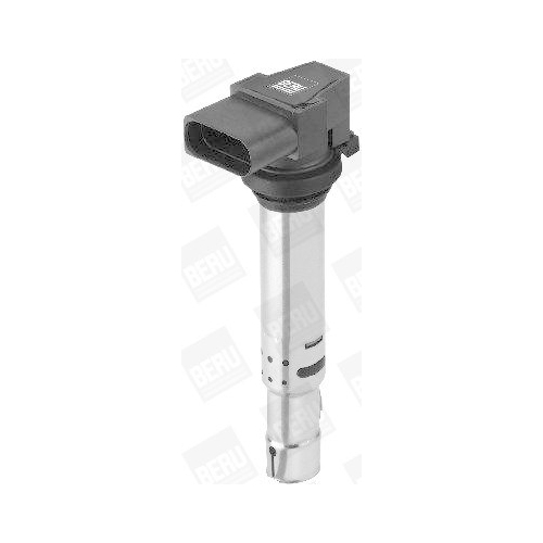 BorgWarner (BERU) Z&uuml;ndspule ZSE138