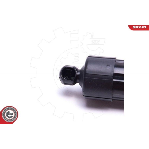 ESEN SKV Elektromotor, Heckklappe