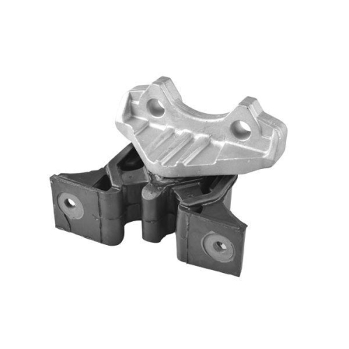 TEDGUM Lagerung, Motor