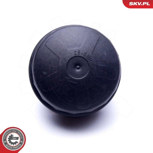 ESEN SKV Deckel, &Ouml;lfiltergeh&auml;use 31SKV183