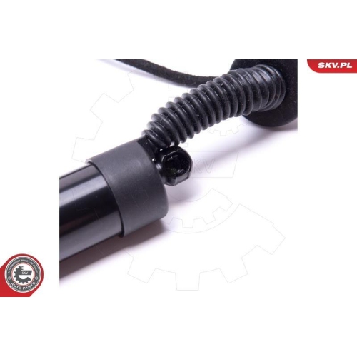 ESEN SKV Elektromotor, Heckklappe