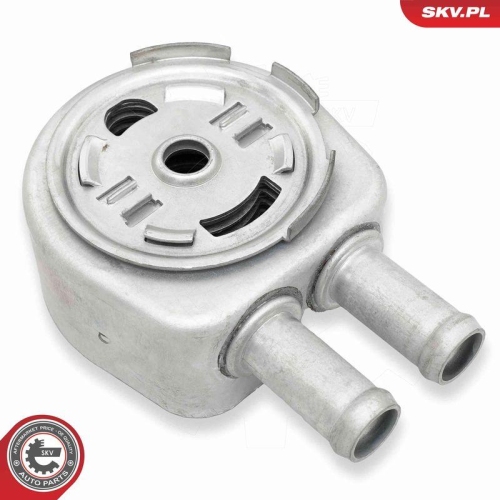 ESEN SKV &Ouml;lk&uuml;hler, Motor&ouml;l