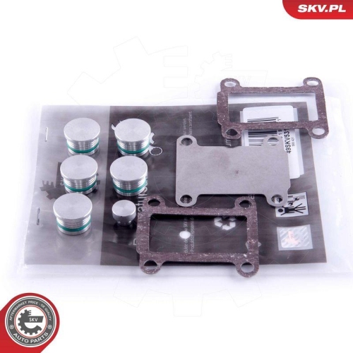 ESEN SKV Reparatursatz, Saugrohrmodul 49SKV531