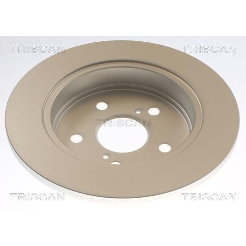 TRISCAN Bremsscheibe 8120 131066C