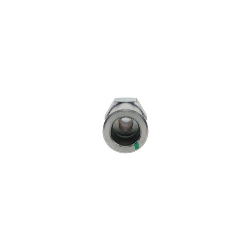 BOSCH Stutzen F 002 D13 549