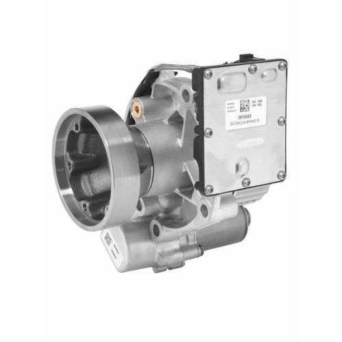 BorgWarner Lamellenkupplung (Allradantrieb) OE-Version/Erstausr&uuml;stung DS2027106