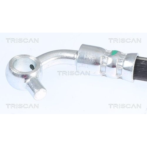 TRISCAN Bremsschlauch 8150 40167