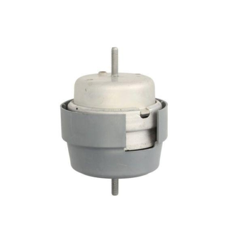 REINHOCH Lagerung, Motor RH11-0063