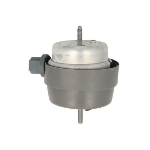 REINHOCH Lagerung, Motor RH11-0141