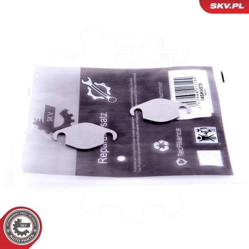 ESEN SKV Reparatursatz, AGR-Ventil 14SKV575