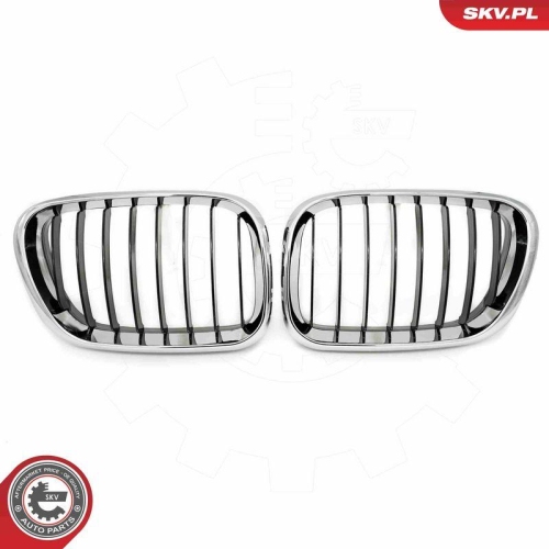 ESEN SKV Kühlergitter