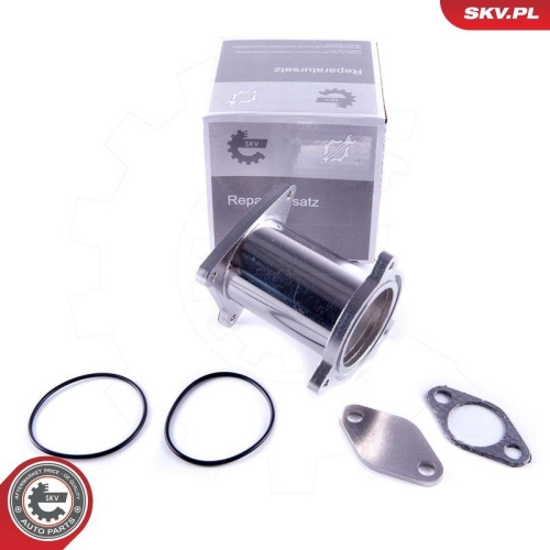 ESEN SKV Reparatursatz, AGR-Ventil 14SKV582