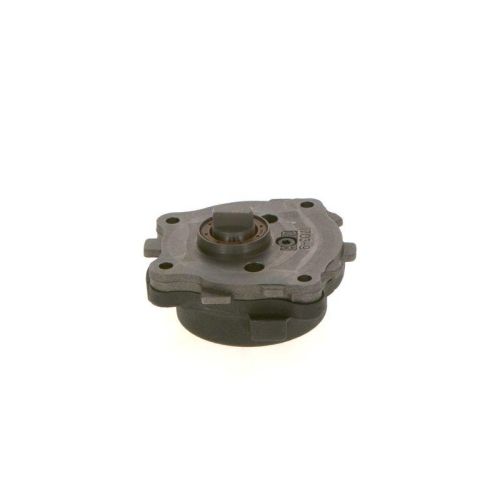 BOSCH Kraftstoffpumpe 0 440 050 010