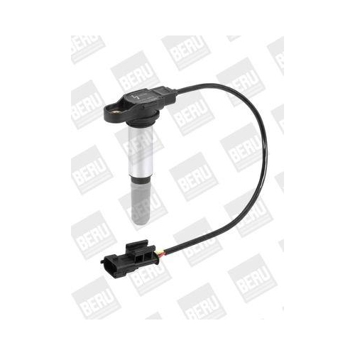BorgWarner (BERU) Z&uuml;ndspule ZS444