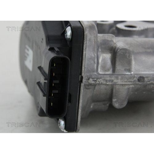 TRISCAN AGR-Ventil 8813 13021