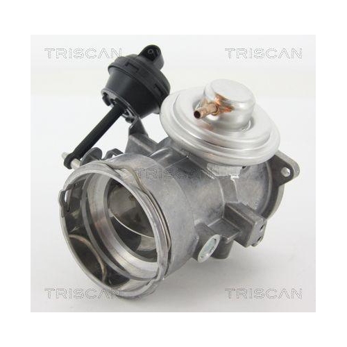 TRISCAN AGR-Ventil 8813 29070