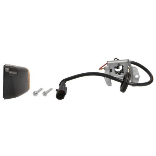 TRUCKLIGHT Blinkleuchte CL-IV015R