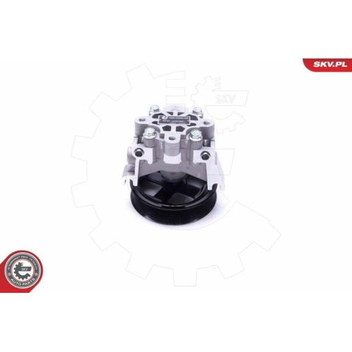 ESEN SKV Hydraulikpumpe, Lenkung