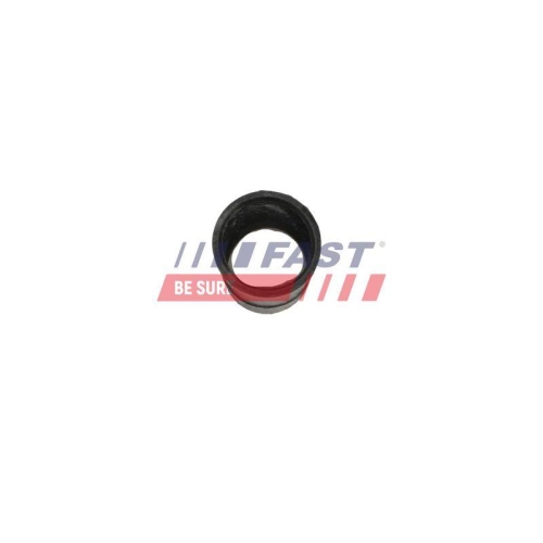 FAST Dichtung, Kraftstofftankverschluss FT48903