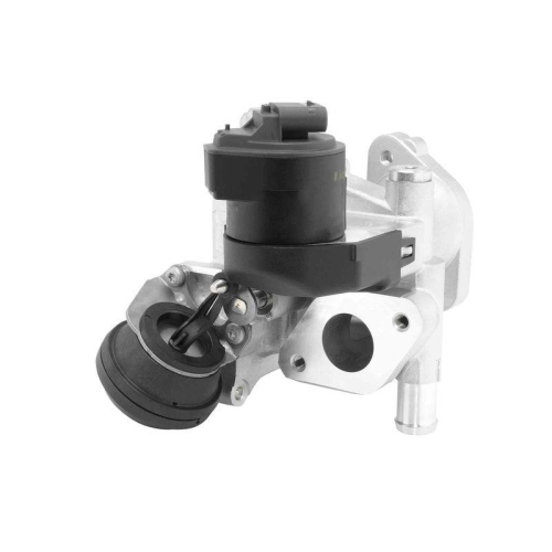 BorgWarner AGR-Ventil OE-Version/Erstausr&uuml;stung 710488D0