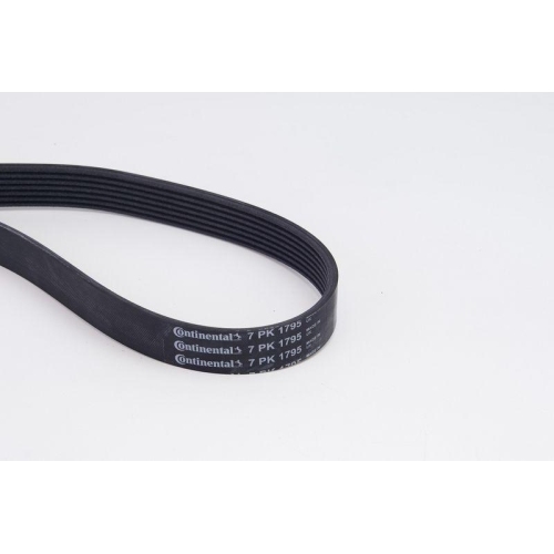 CONTINENTAL CTAM Keilrippenriemensatz 7PK1795K1