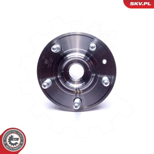 ESEN SKV Radlagersatz 29SKV405