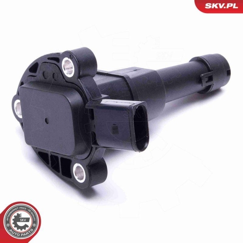 ESEN SKV Sensor, Motor&ouml;lstand 17SKV769