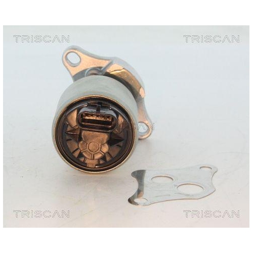 TRISCAN AGR-Ventil 8813 24004