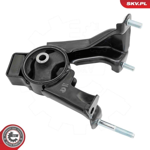 ESEN SKV Lagerung, Motor