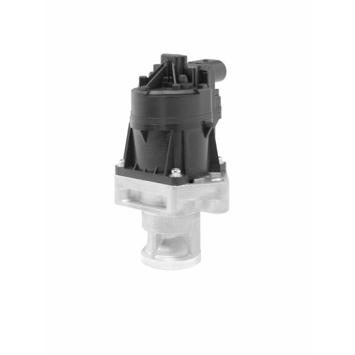 BorgWarner AGR-Ventil 710559D