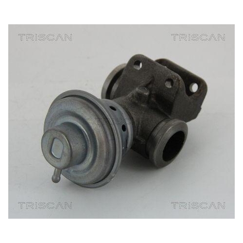 TRISCAN AGR-Ventil 8813 28013